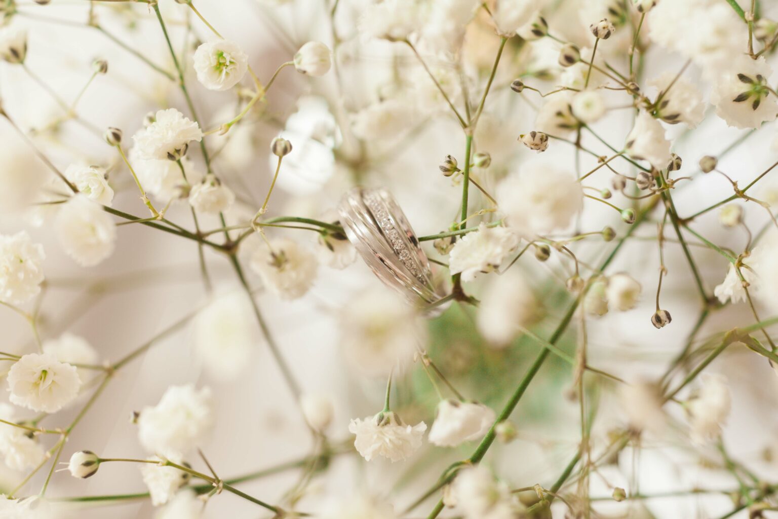 Photographies de mariages réalisées par Pauline Cany, photographe de mariage en Bourgogne — instants authentiques capturés à travers les vignobles, châteaux et villages de charme, entre émotions, lumière naturelle et élégance. Wedding photographs captured by Pauline Cany, fine art wedding photographer in Burgundy — authentic moments through vineyards, romantic châteaux, and charming villages, with a soft light and refined elegance.