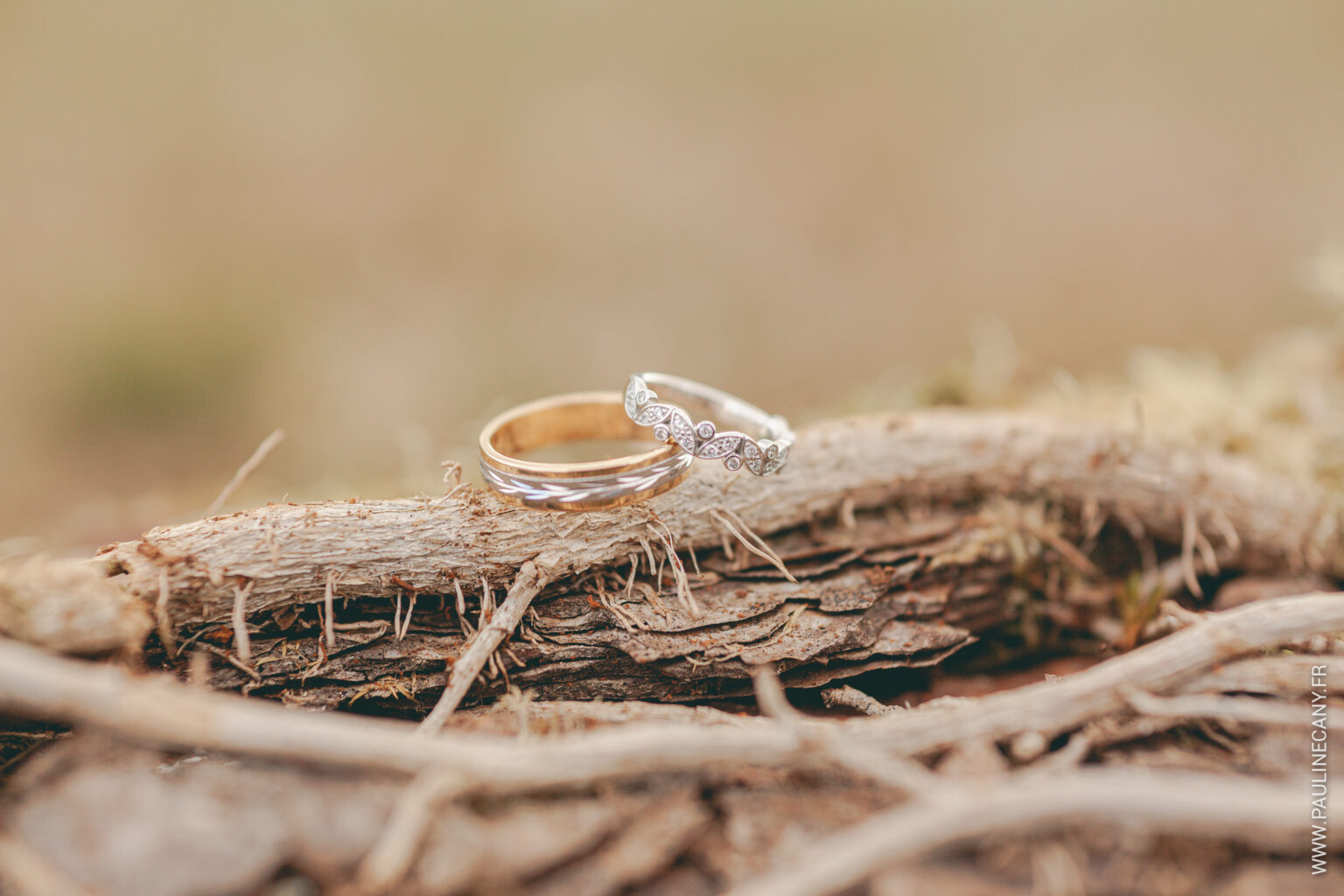 Photographies de mariage de Pierre et Lucie à Remilly-sur-Tille, par Pauline Cany, photographe en Bourgogne — un mariage simple, vrai, fidèle à leur image, avec des instants tendres capturés avec poésie et sincérité. Wedding photos of Pierre and Lucie in Remilly-sur-Tille, captured by Pauline Cany, fine art photographer in Burgundy — a simple, heartfelt celebration, true to who they are, with emotional and timeless moments.